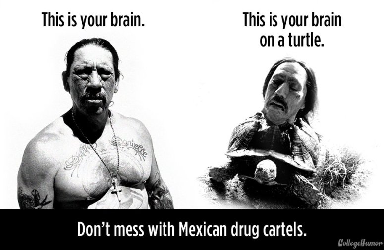 Mexican drug cartels